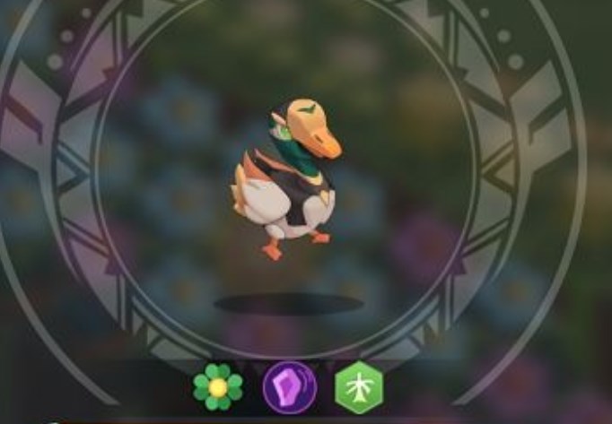 奇异大陆星牌发展攻略 奇异大陆星牌注意事项