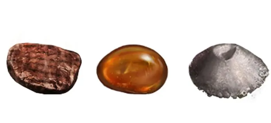 黑光生存进化肉饲料制作方法 黑光生存进化肉饲料怎么获取