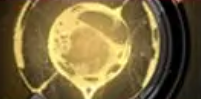 银与绯主要玩法有哪些 银与绯主要玩法介绍