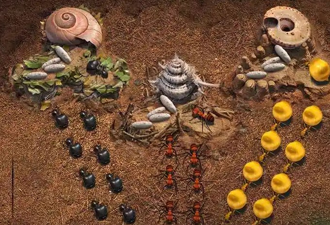 小小蚁国各兵种特点介绍