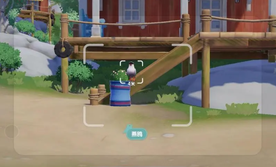 心动小镇观鸟注意事项 心动小镇怎么观鸟