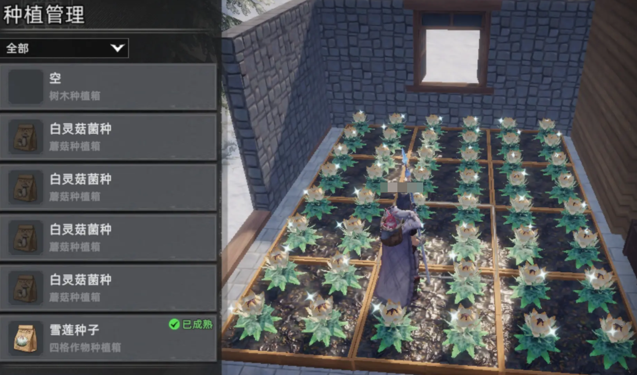 荒原曙光营地建设攻略 荒原曙光营地建设注意事项