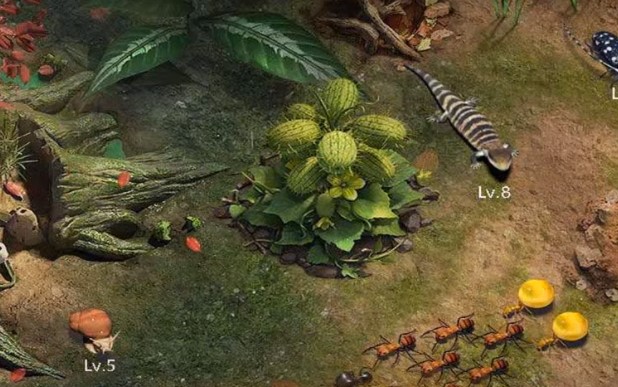 小小蚁国科技升级顺序一览