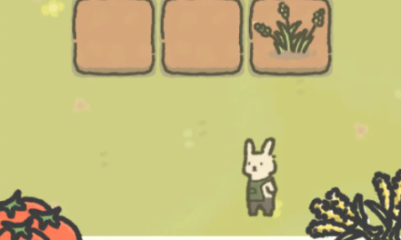 望月屋气泡水制作配方 望月屋抹茶热巧怎么做