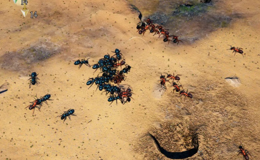 小小蚁国优先升哪些建筑