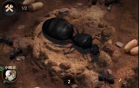 小小蚁国开局橙色蚁搭配