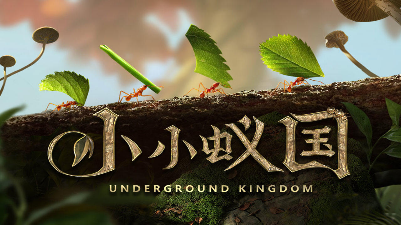 小小蚁国每日必做指南