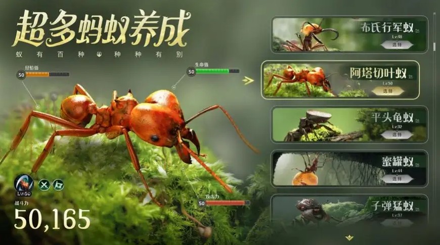  小小蚁国橙色特化蚁培养攻略