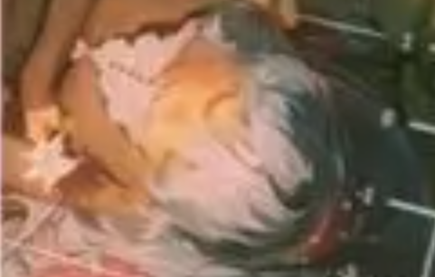 夜幕之下哪些角色好用 夜幕之下新手角色推荐