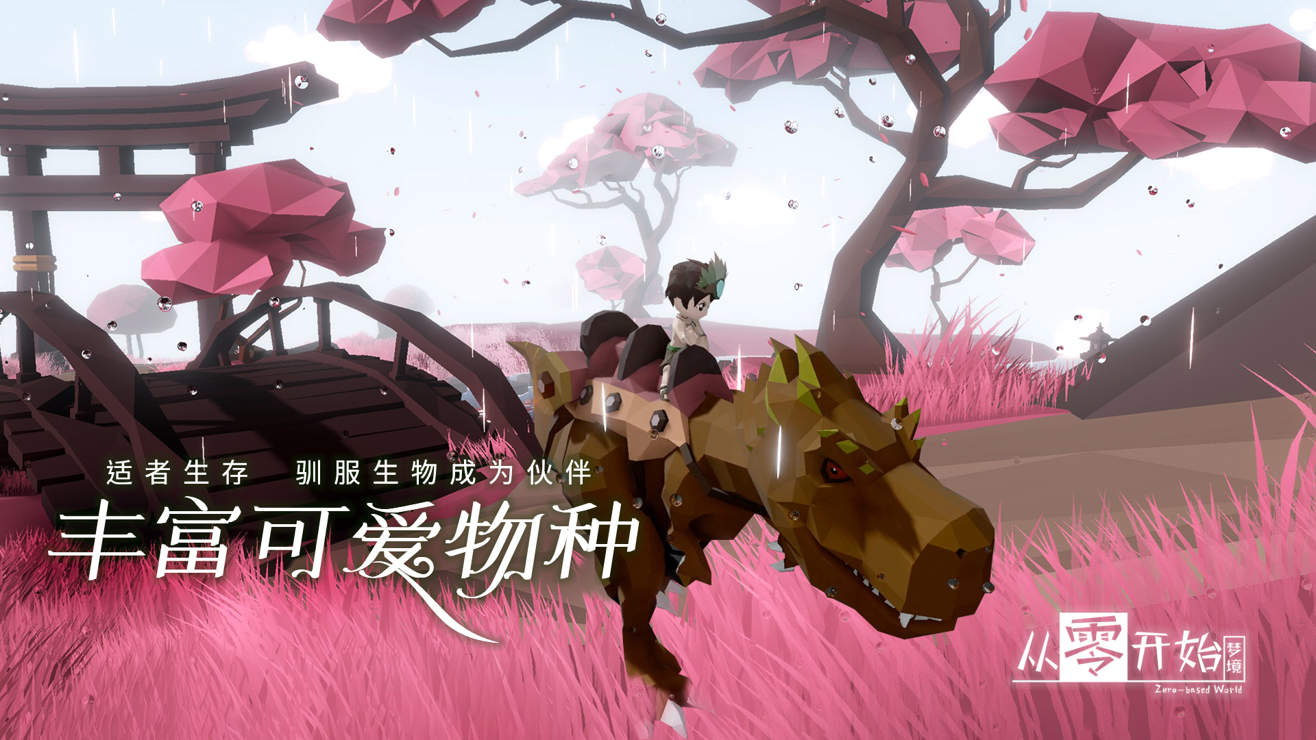 从零开始：梦境图片