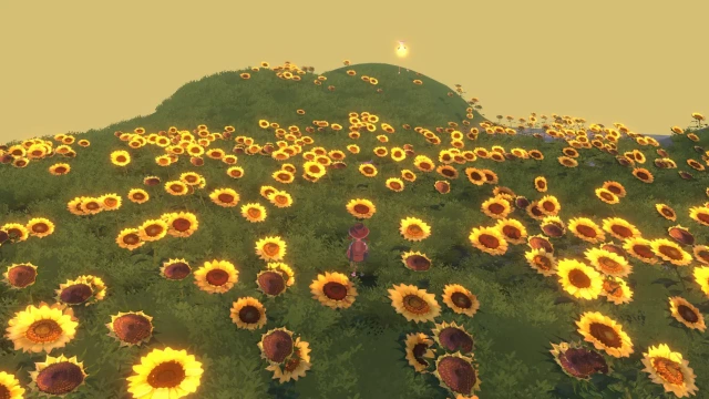 风与牧场图片_5