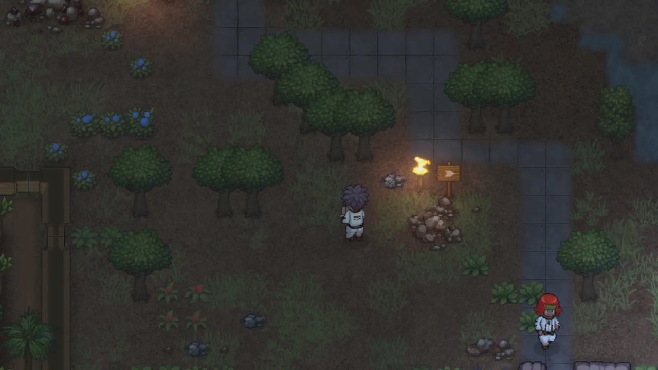 秩序：新曙光图片