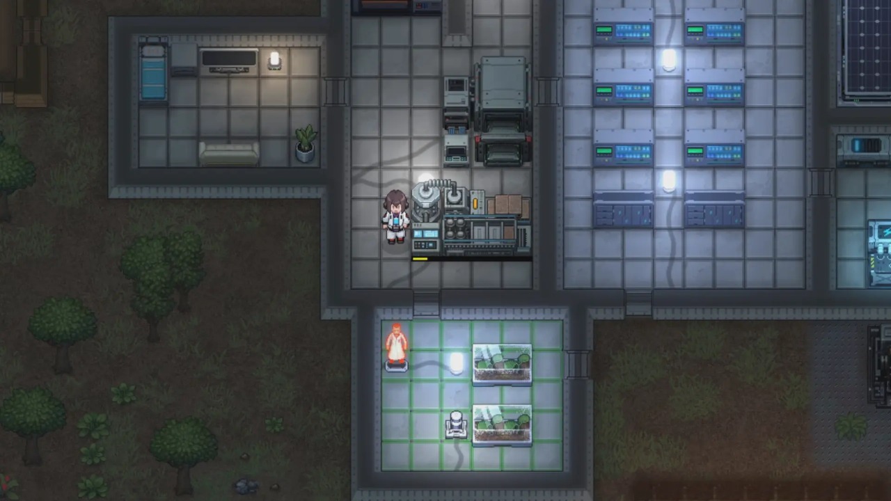 秩序：新曙光图片