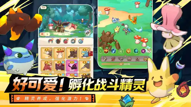 星愿之冠图片_6