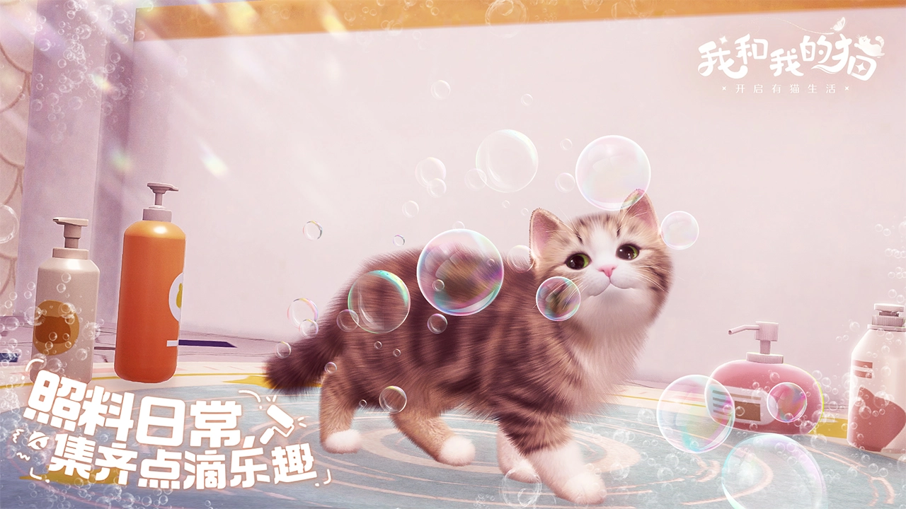 我和我的猫图片