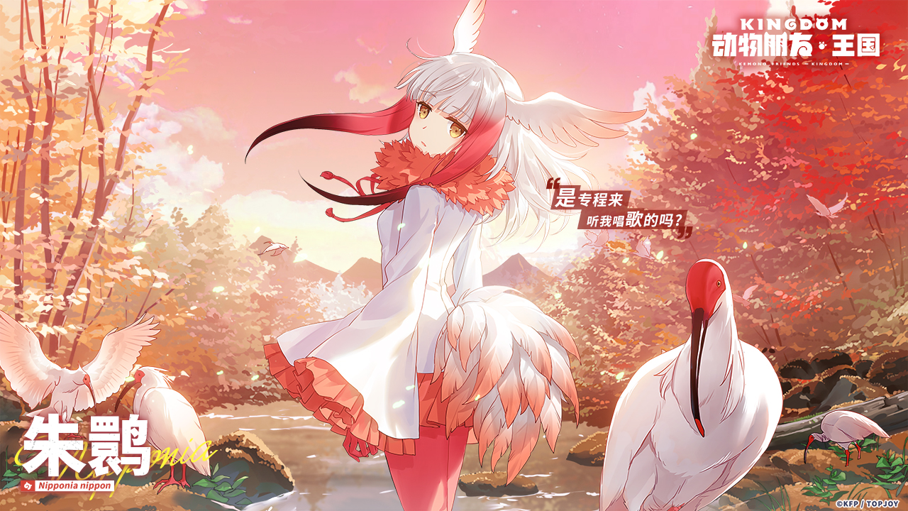 动物朋友：王国图片