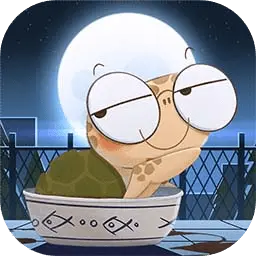 海龟蘑菇汤图片