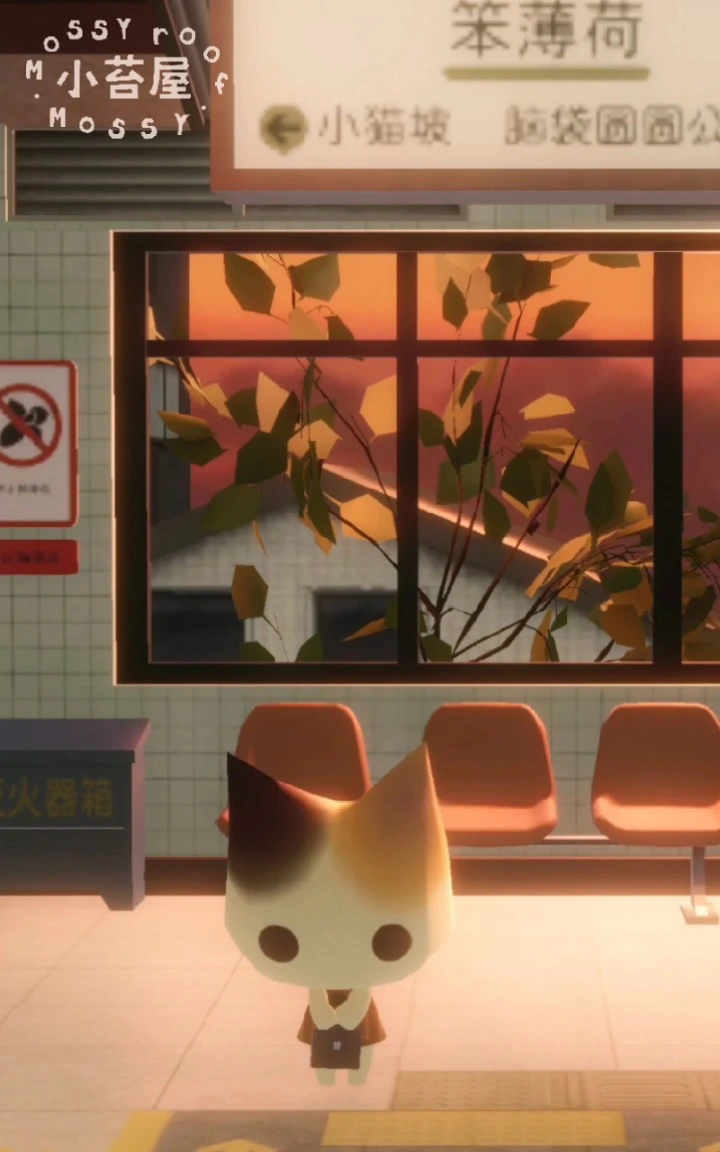 小苔屋图片