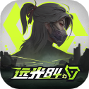 远光84