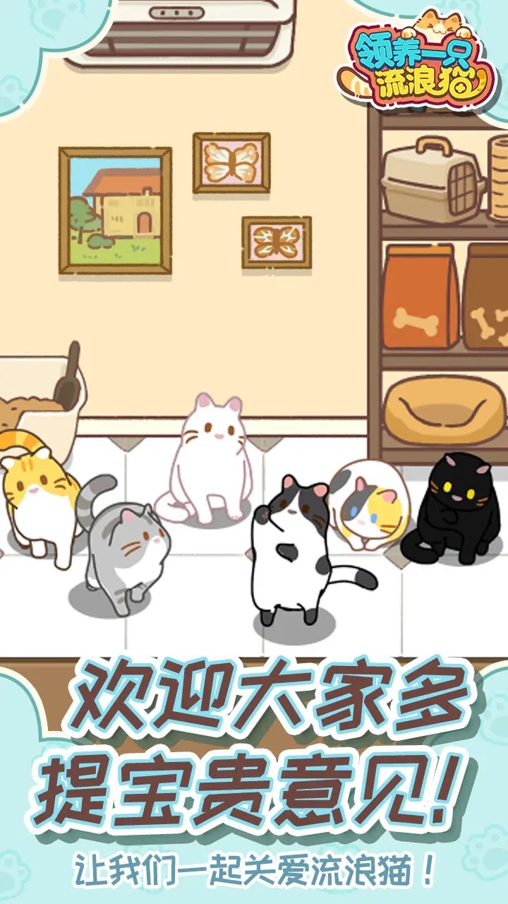 领养一只流浪猫图片_1