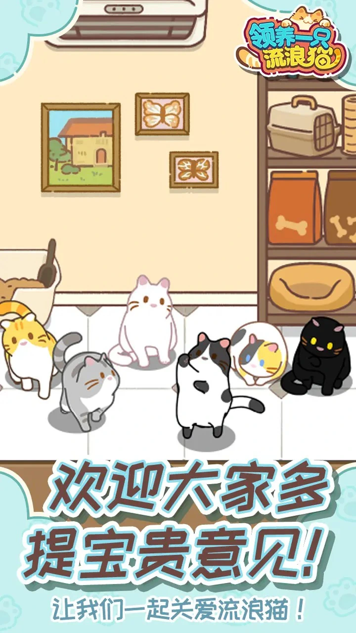 领养一只流浪猫图片