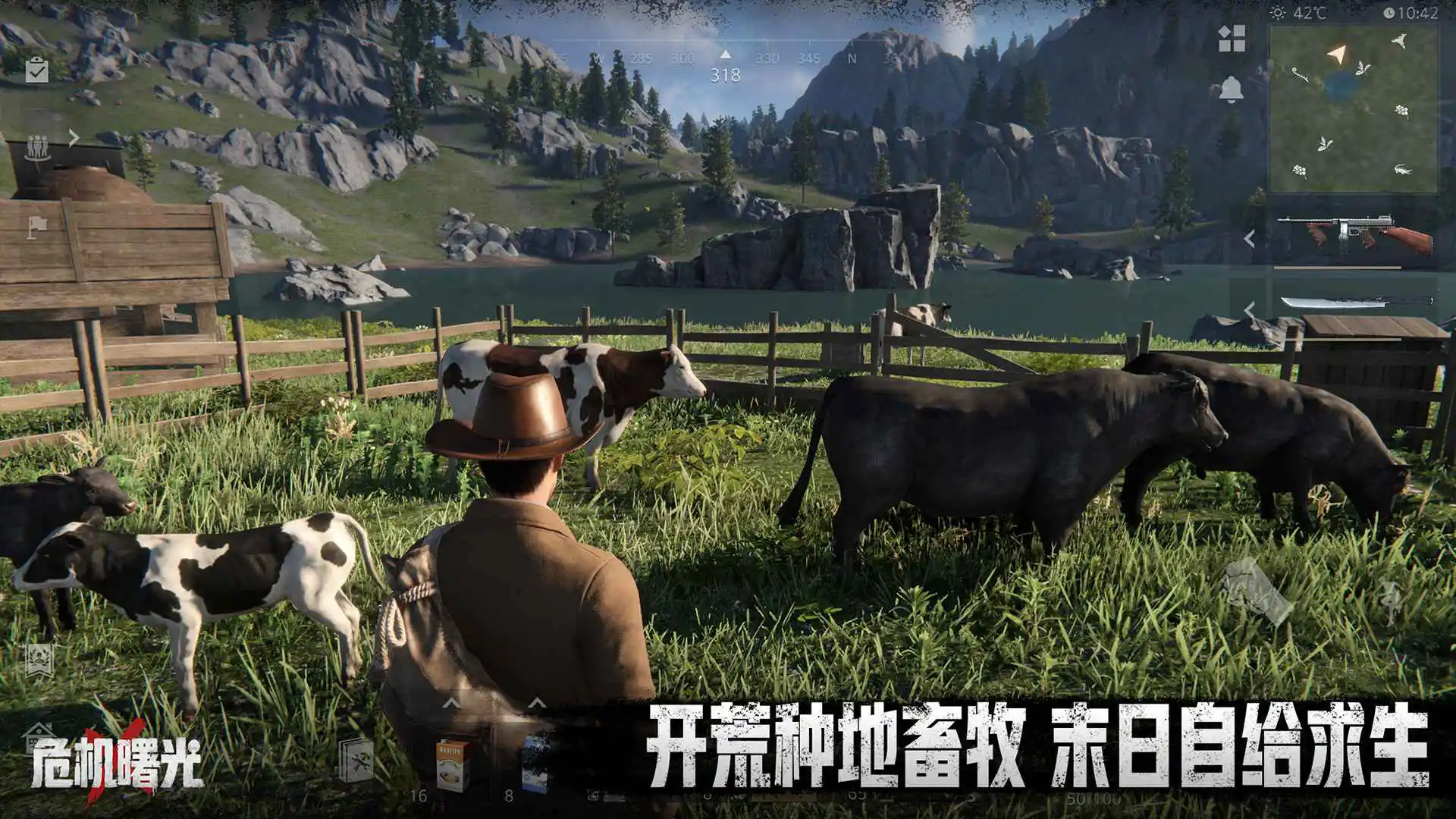 危机曙光图片