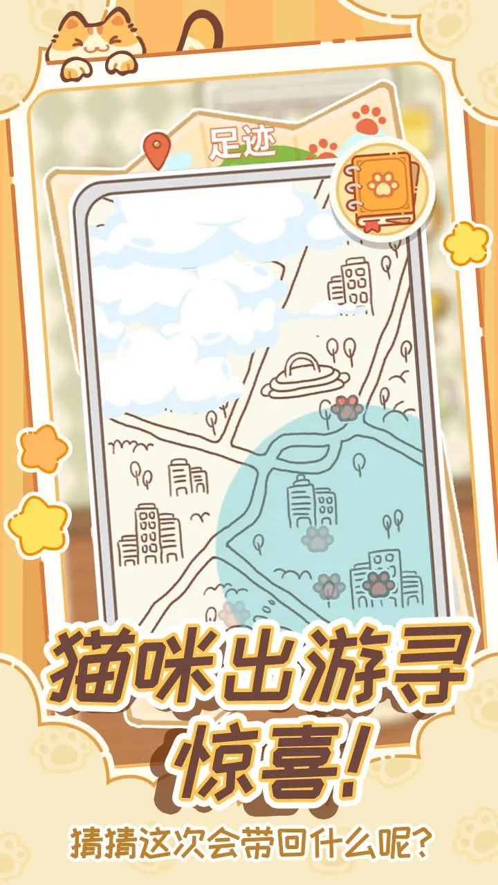 领养一只流浪猫图片