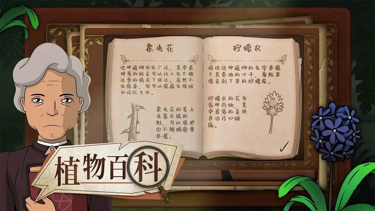 奇异园艺图片
