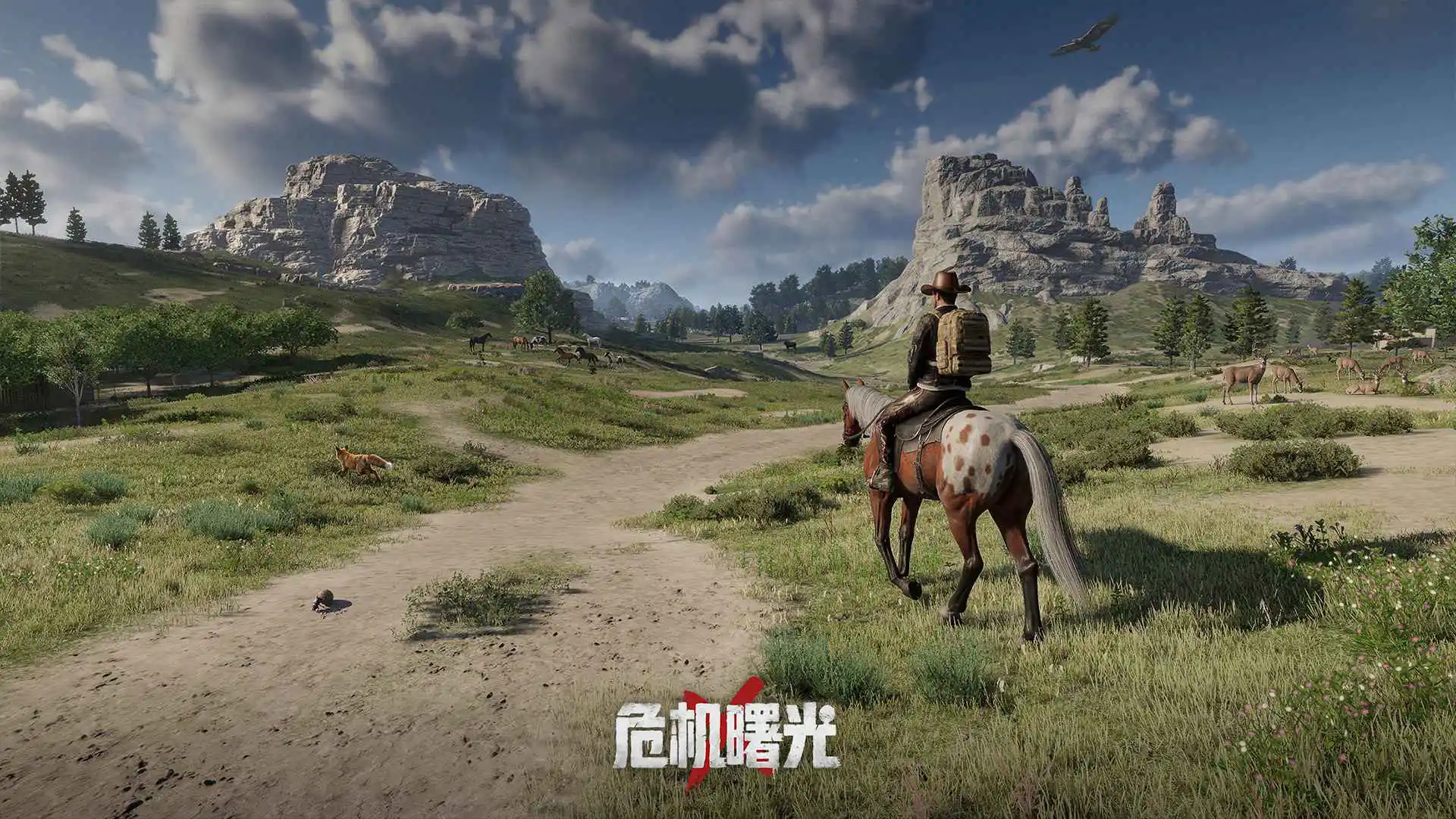 危机曙光图片