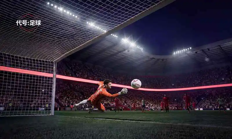 代号：足球图片