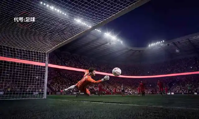 代号：足球图片_5