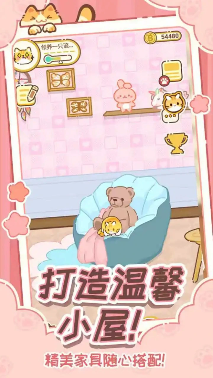 领养一只流浪猫图片