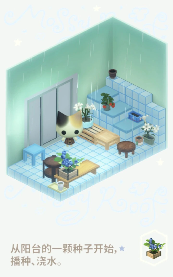 小苔屋图片