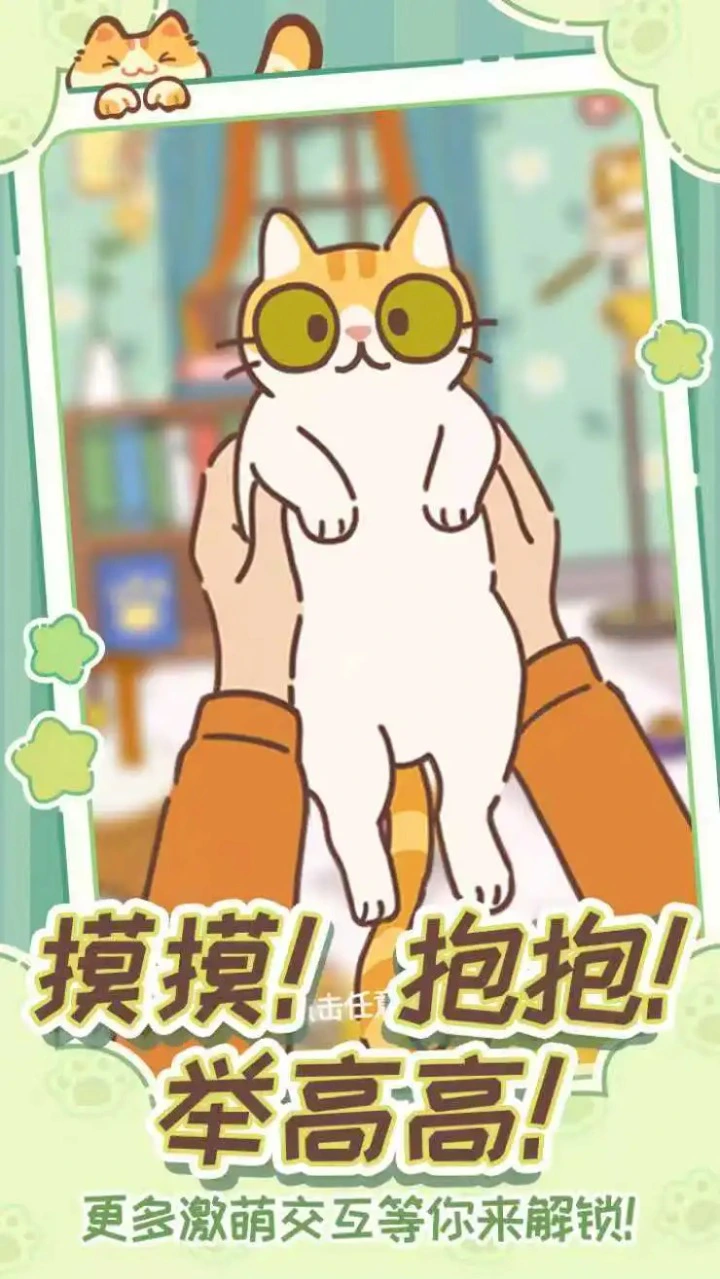 领养一只流浪猫图片