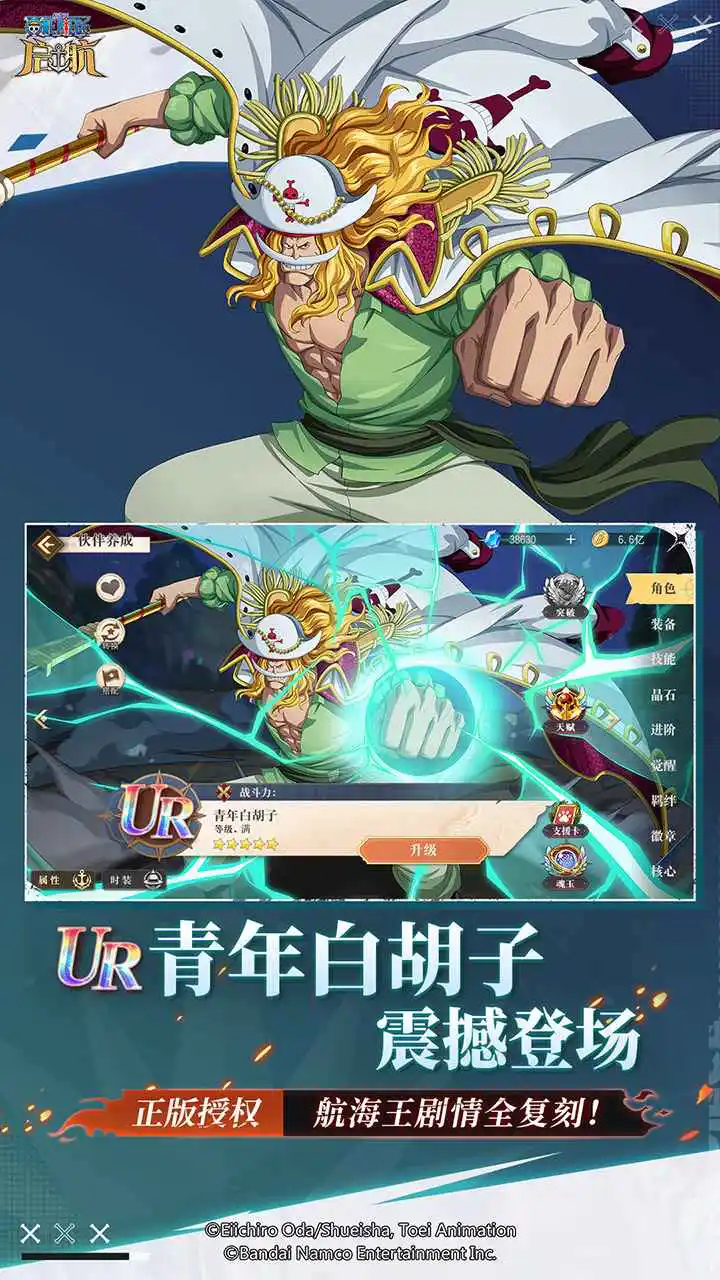 航海王-启航图片