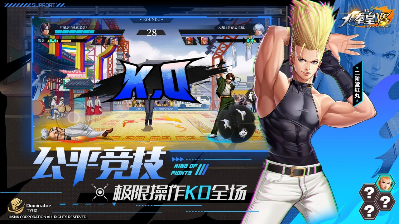 代號(hào)拳皇VS圖片_4