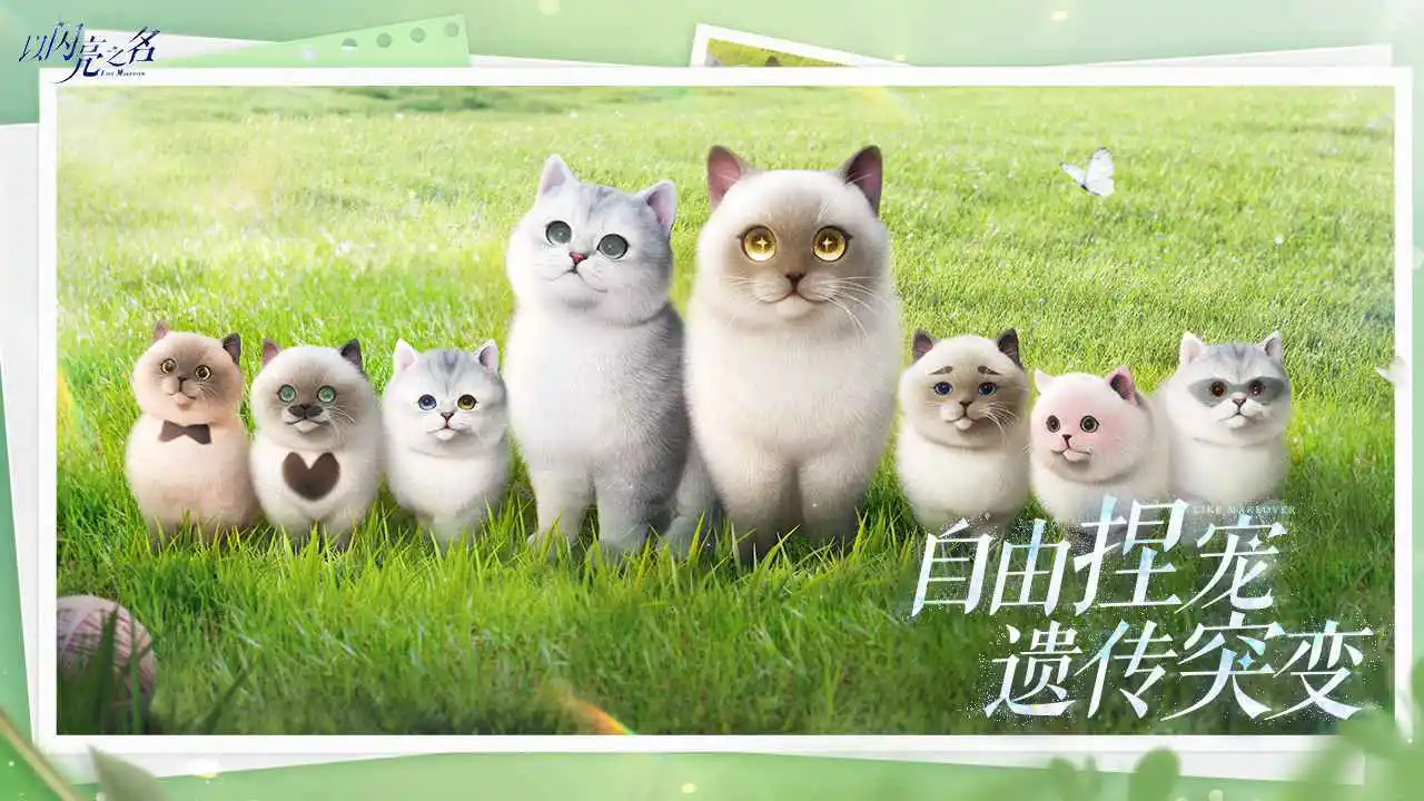 以闪亮之名图片