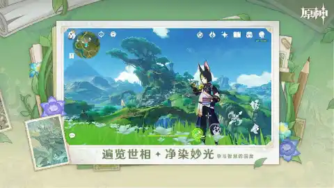 原神图片_5