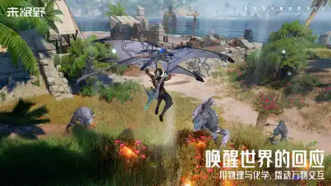 未眠野图片_4