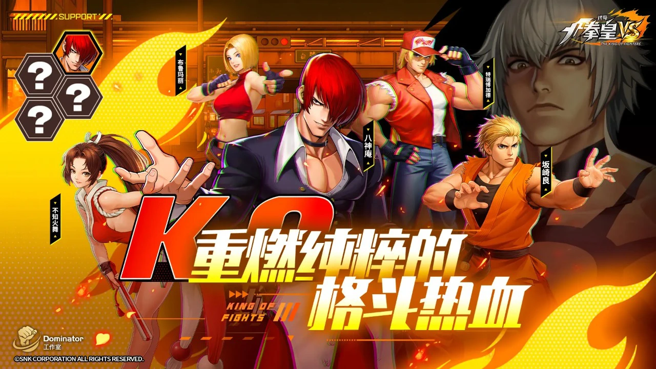 代号：拳皇VS图片