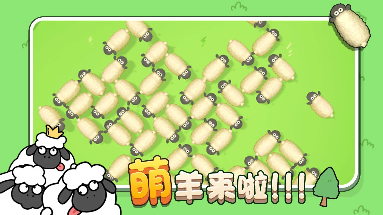 牧场小羊消_4