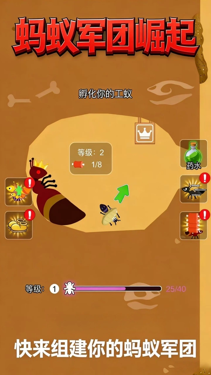 天天刮翡翠_2