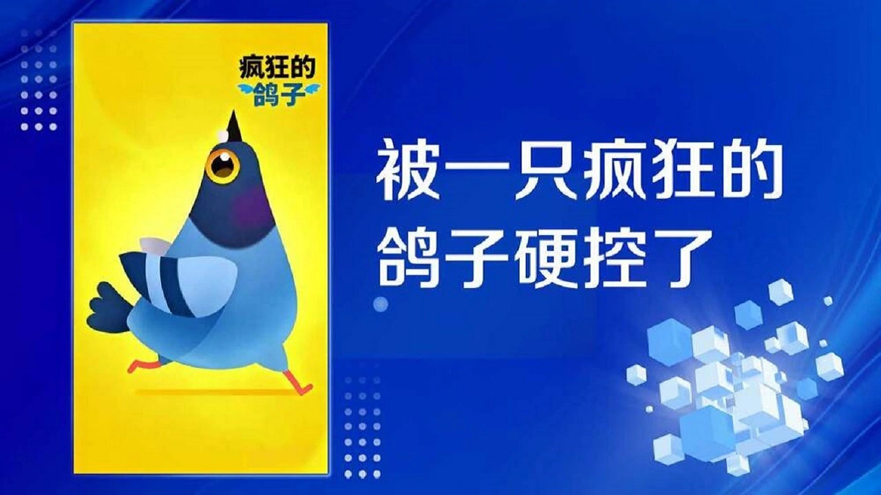 疯狂的鸽子手机版_4