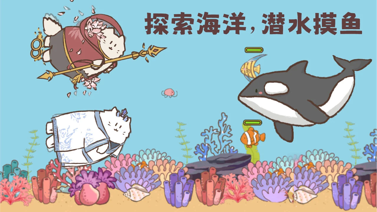 海边小猫_5