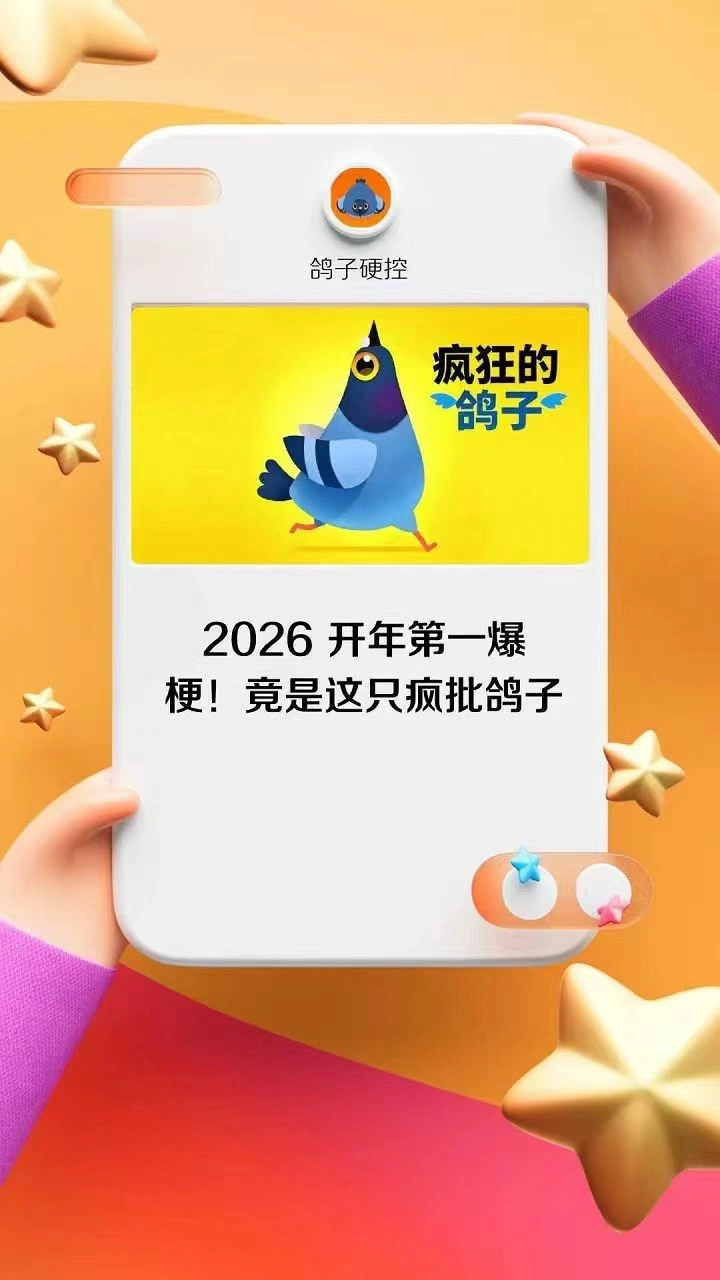 疯狂的小鸽子_3