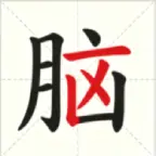 脑子动动吧ICON
