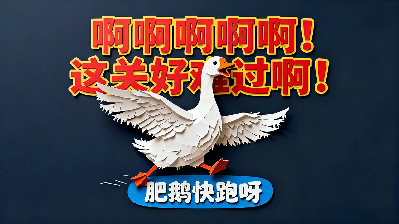 煮个菜菜_2