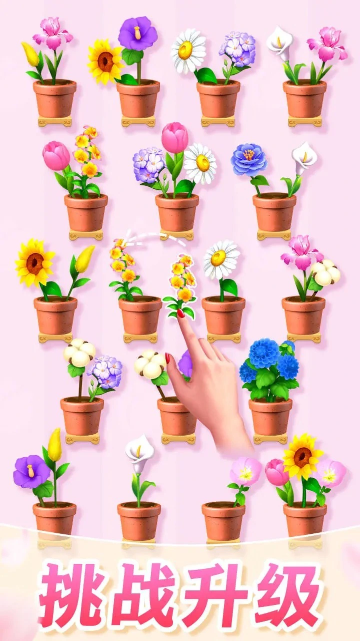 插花我最强_3