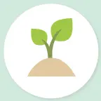 打卡英语ICON