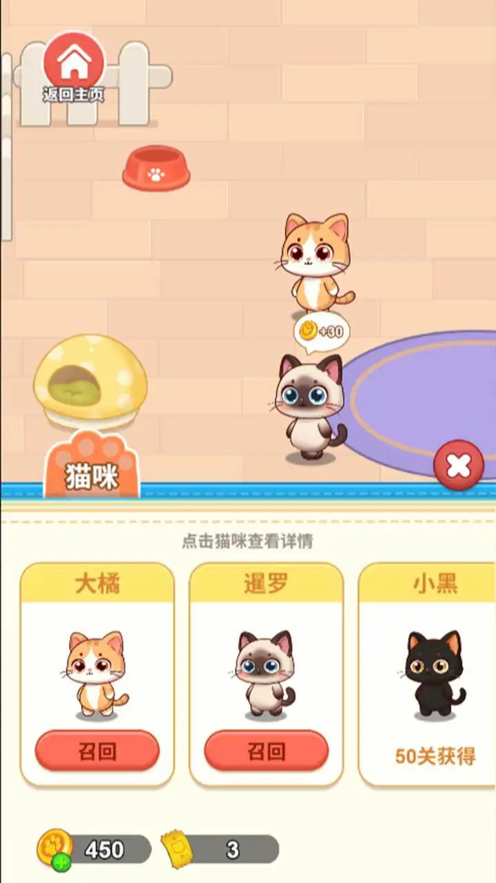 喵在哪儿_2